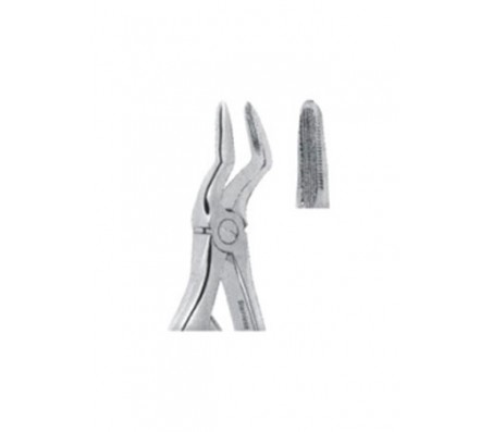 Extracting Forceps